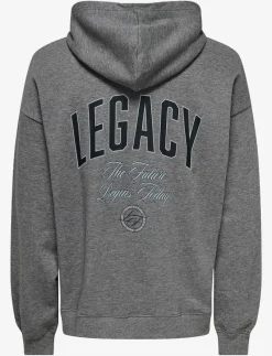 ONSLEGACY SWEAT ZIP VTG HOODIE - Hoodies