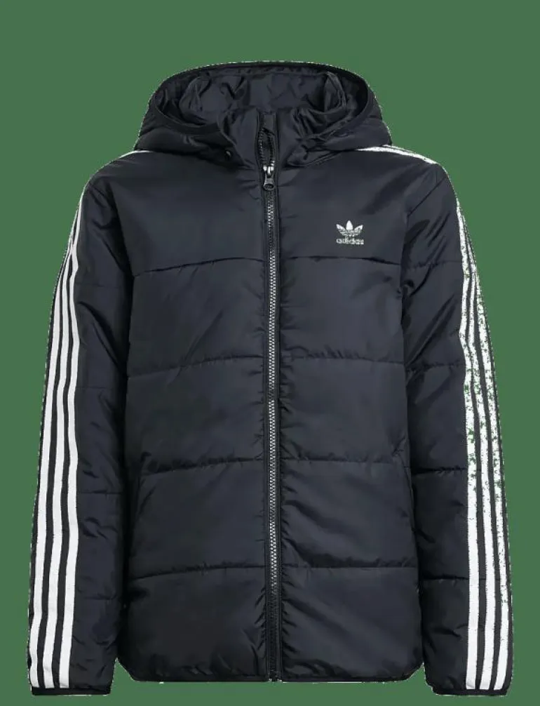 PADDED JACKET - Dunjackor & fodrade jackor