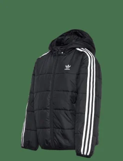PADDED JACKET - Dunjackor & fodrade jackor