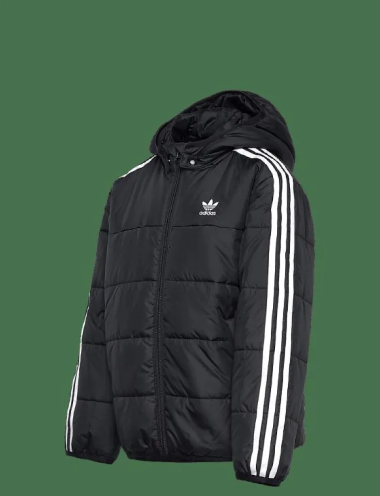 PADDED JACKET - Dunjackor & fodrade jackor