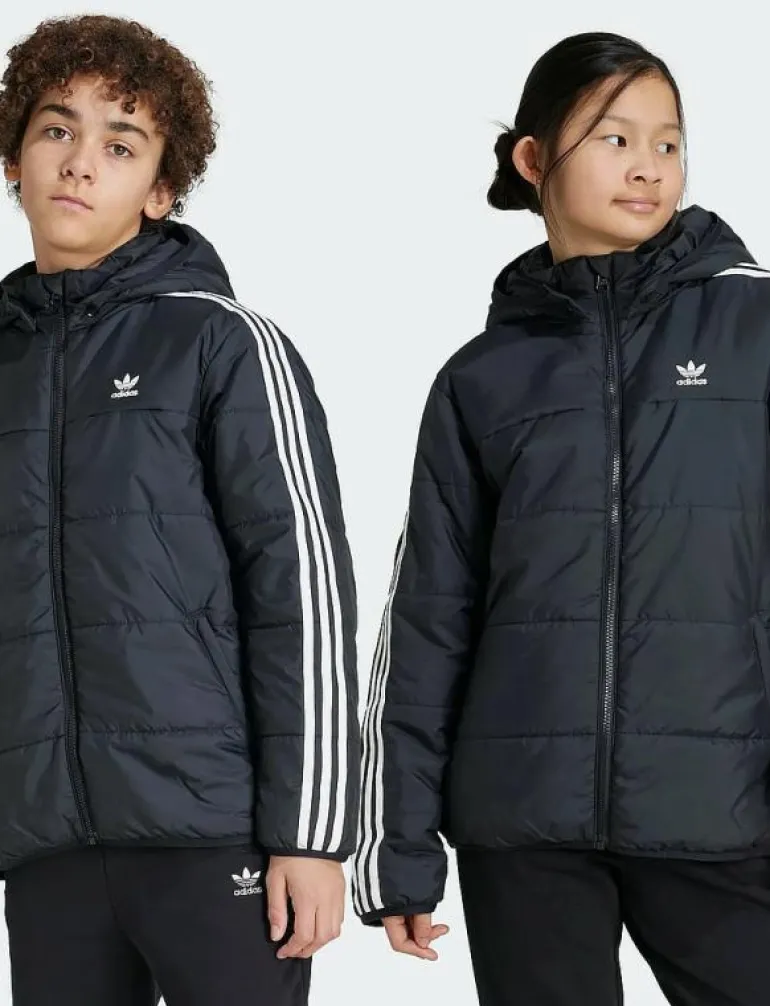 PADDED JACKET - Dunjackor & fodrade jackor