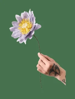 PAPER FLOWER - Torkade blommor