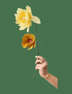 PAPER FLOWER - Torkade blommor