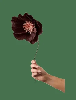 PAPER FLOWER - Torkade blommor