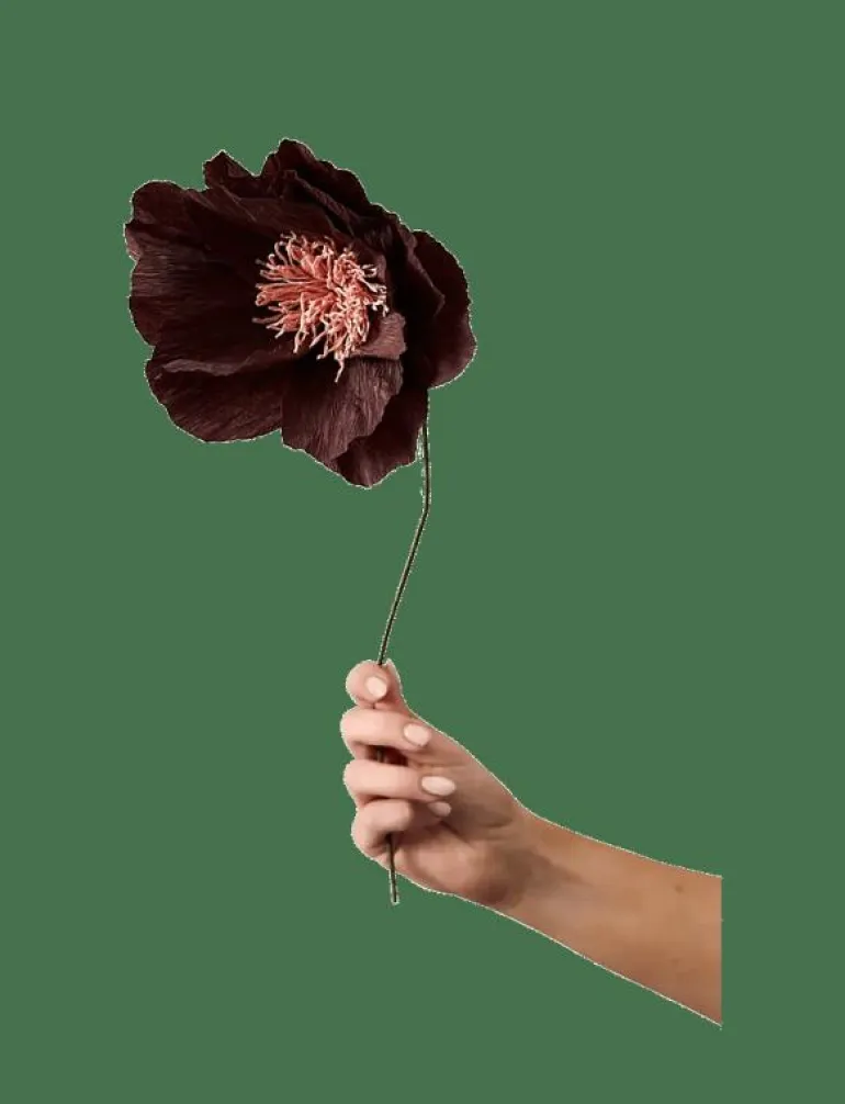 PAPER FLOWER - Torkade blommor
