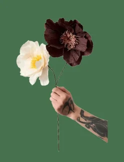 PAPER FLOWER - Torkade blommor