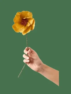 PAPER FLOWER - Torkade blommor