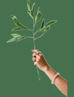 PAPER FLOWER, BRANCH WITH DETAILED LEAFS, GREEN - Torkade blommor