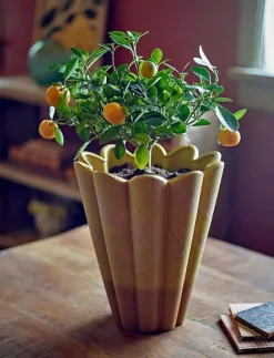 Penn Vase - Vaser