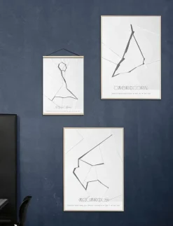 Pisces - The Fish - Posters
