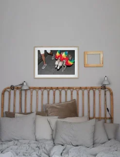 Poster Rainbow Dogs - Fotokonst
