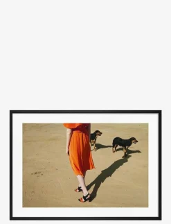Poster Walking Dogs - Fotokonst
