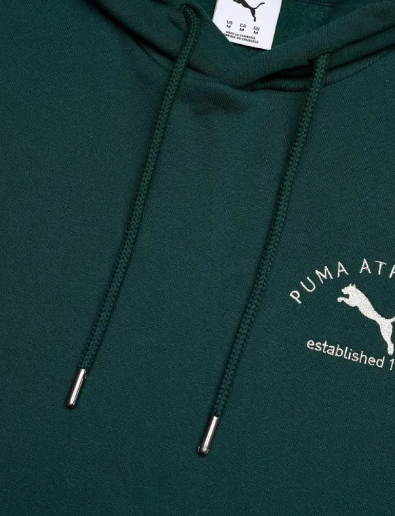 PUMA CLASS Graphic Hoodie FL - Huvtröjor
