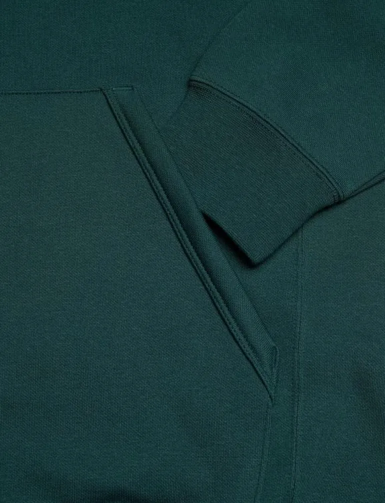 PUMA CLASS Graphic Hoodie FL - Huvtröjor