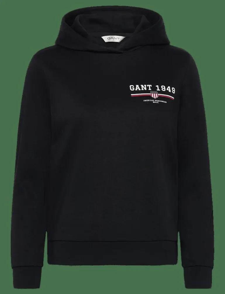 REG GRAPHIC HOODIE - Huvtröjor