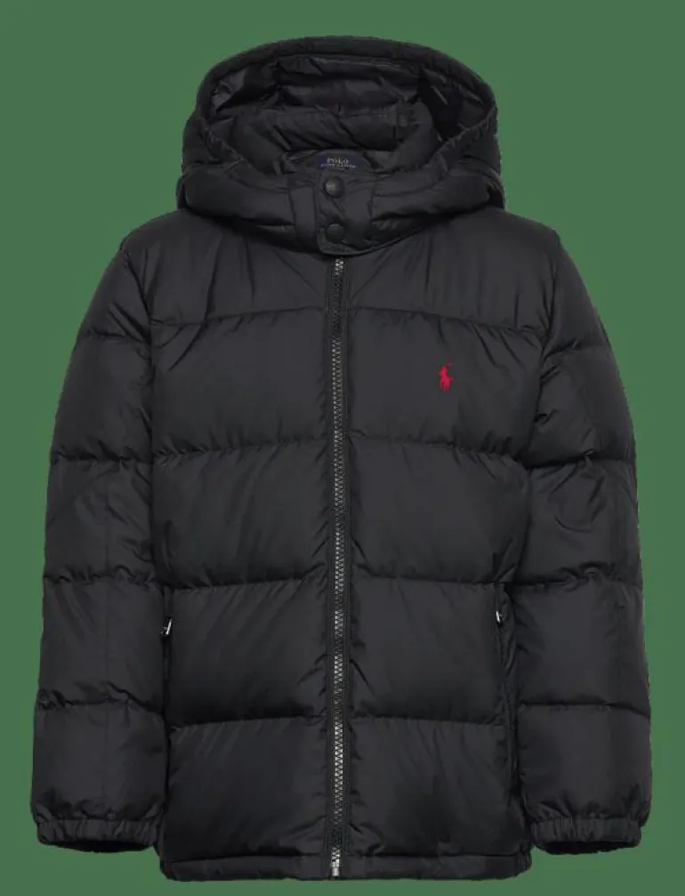 Ripstop Down Hooded Jacket - Dunjackor & fodrade jackor