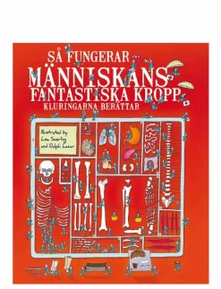 Så fungerar människans fantastiska kropp - Pedagogisk barnbok