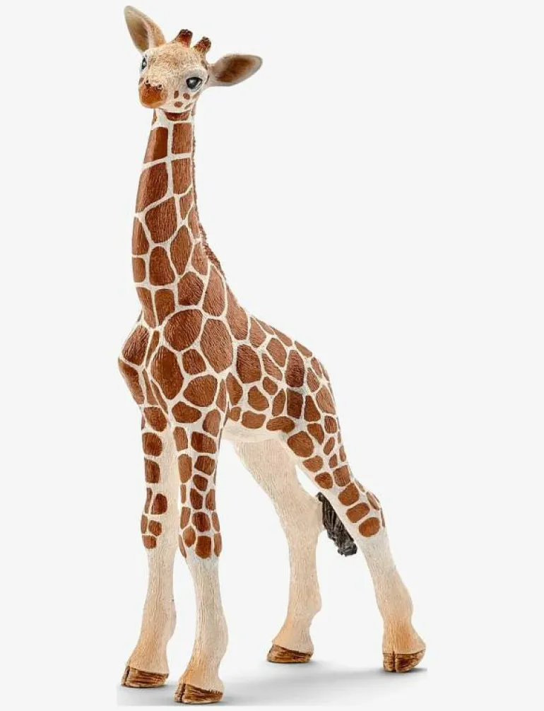 Schleich Giraffe calf - Djur