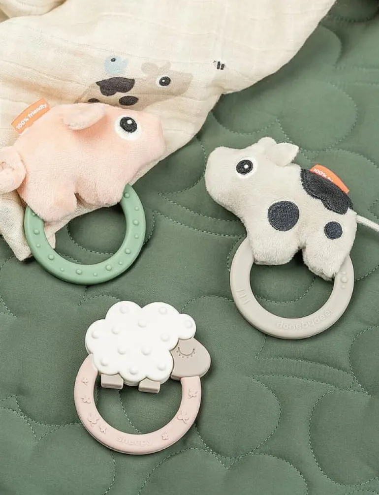 Sensory rattle w/teether Pigee Colour mix - Bitleksaker