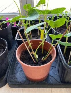 Shoe and boot tray rubber - Skobrickor