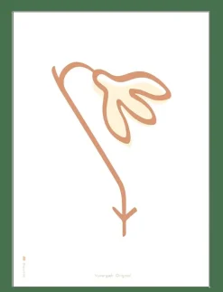 Snowdrop white - Illustrationer