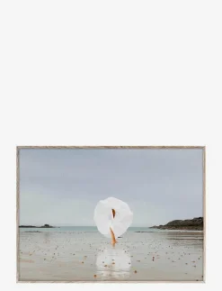 Social Distance - 50x70 cm - Fotokonst