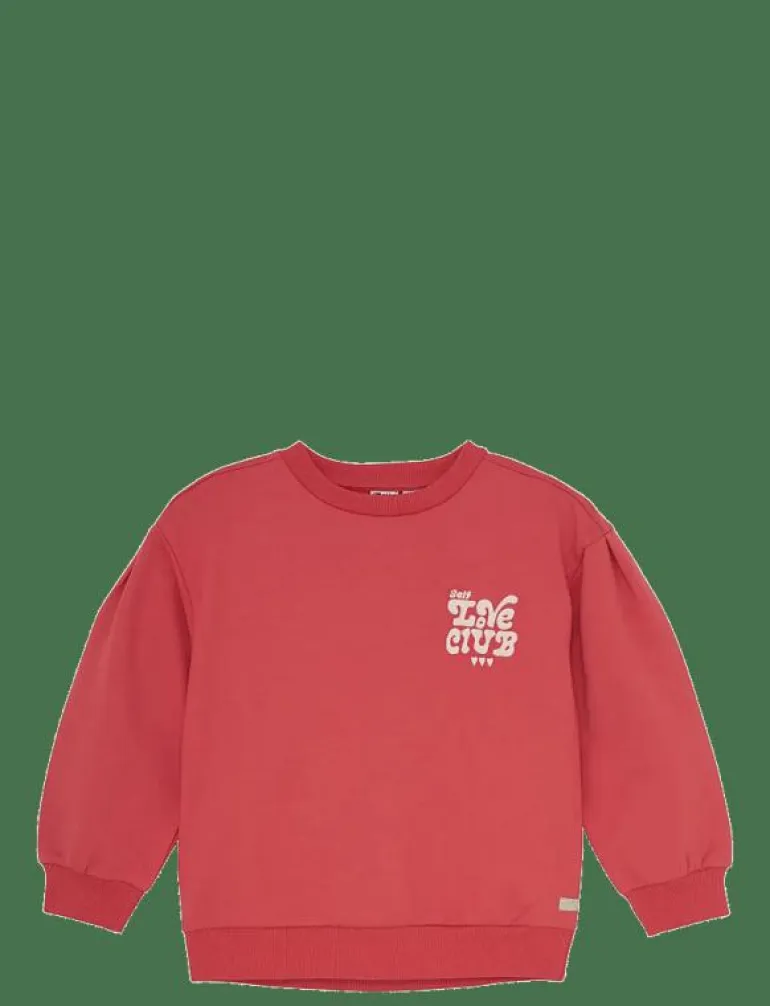 Sweater Brushed Print - Sweatshirts