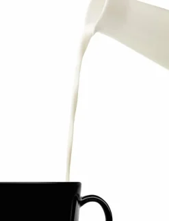 Teema karaff 20 cl med trälock vit - Mjölkkannor