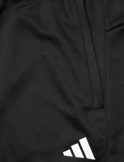 TR-ES ALLSETSHO - Träningsshorts