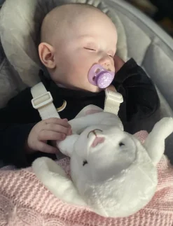 Twistshake Pacifier - Nappar