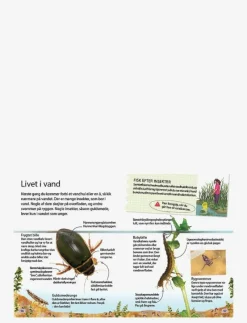 Ud i naturen Insekter & edderkopper - Pedagogisk barnbok