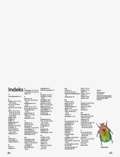 Ud i naturen Insekter & edderkopper - Pedagogisk barnbok