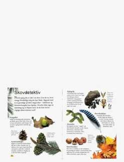 Ud i naturen Skoven - Pedagogisk barnbok
