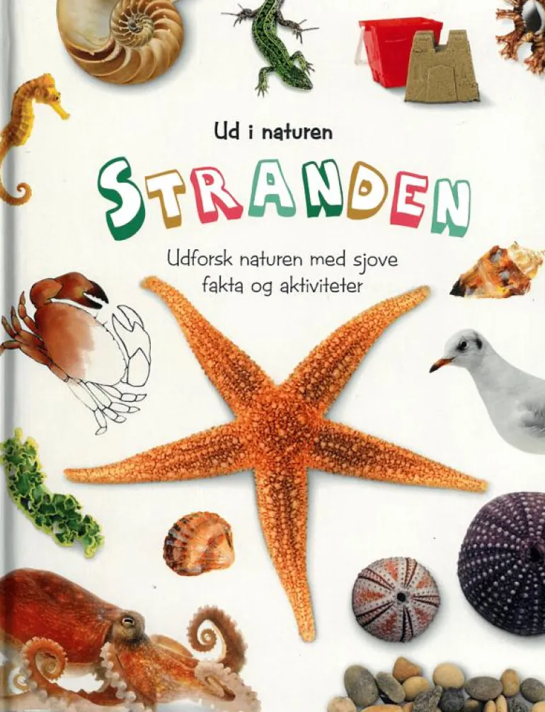 Ud i naturen Stranden - Pedagogisk barnbok