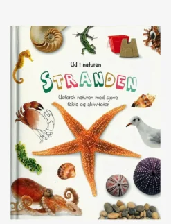 Ud i naturen Stranden - Pedagogisk barnbok