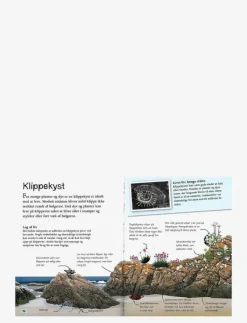 Ud i naturen Stranden - Pedagogisk barnbok