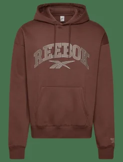VARSITY ARCH HOODIE - Huvtröjor
