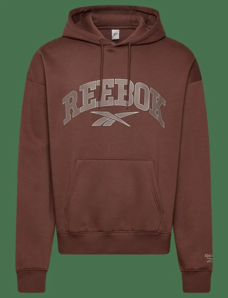 VARSITY ARCH HOODIE - Huvtröjor