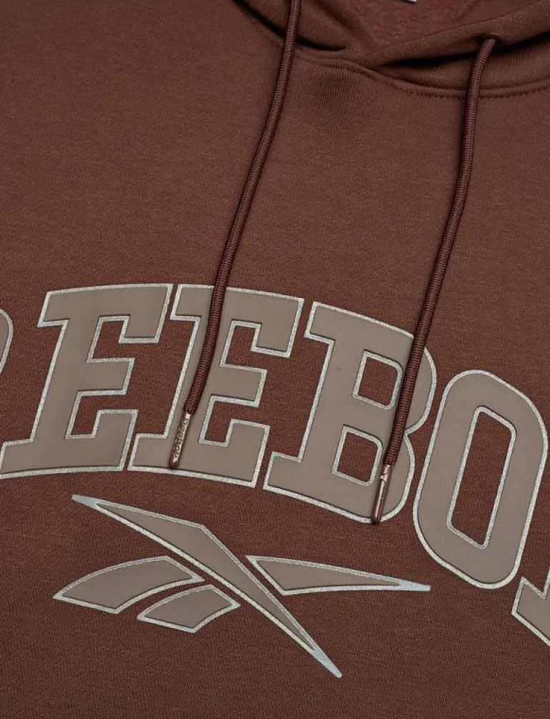 VARSITY ARCH HOODIE - Huvtröjor