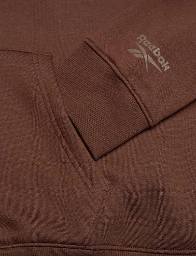 VARSITY ARCH HOODIE - Huvtröjor