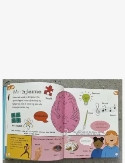 Vores verden - Leksikon for de yngste - Pedagogisk barnbok