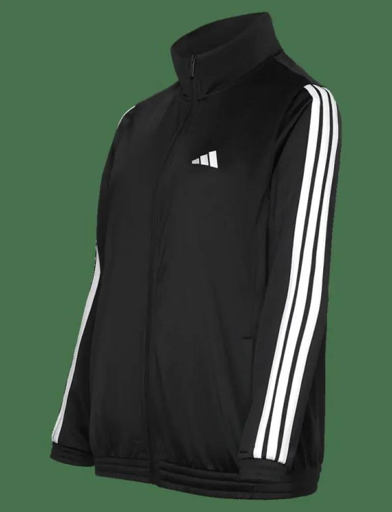 W 3S TT TRIC - Sweatshirts