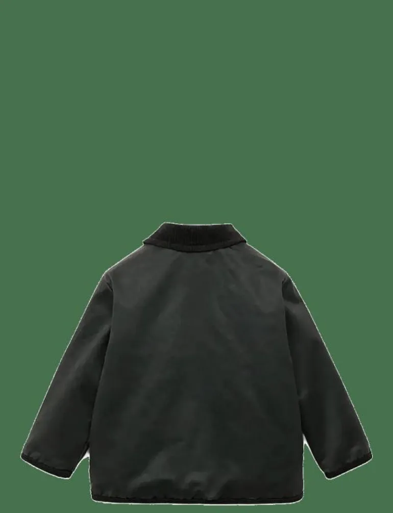Waxed-effect parka - Parkas